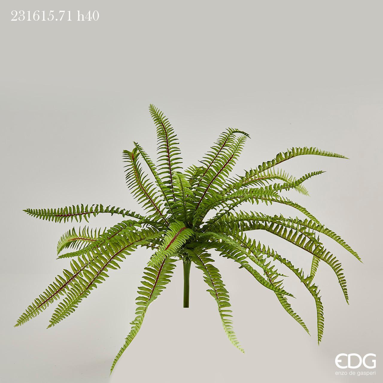Rami di felce stabilizzati | | Verde sfuso