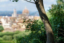 Diffusore Ambiente Giglio Di Firenze Dr. Vranjes Firenze