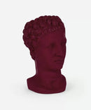 Scultura Hermes Vaso Bordeaux Sophia