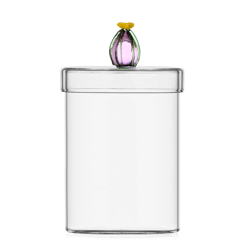 Ichendorf Milano Scatola Cactus in vetro Borosilicato Desert Plant