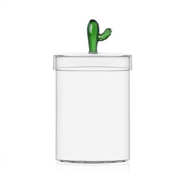 Ichendorf Milano Scatola Cactus in vetro Borosilicato Desert Plant