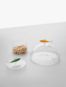 Ichendorf Milano Scatola Sardina in Vetro Borosilicato Marine Garden