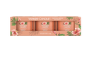 Yankee Candle Confezione  3 Candele Votive in Vetro Tropical Breeze