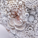 Vaso Conchiglie Champagne - Avorio EDG Enzo De Gasperi