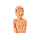 Busto in Terracotta Magna Graecia Uomo Seletti