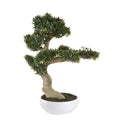 L'Oca Nera Bonsai Artificiale