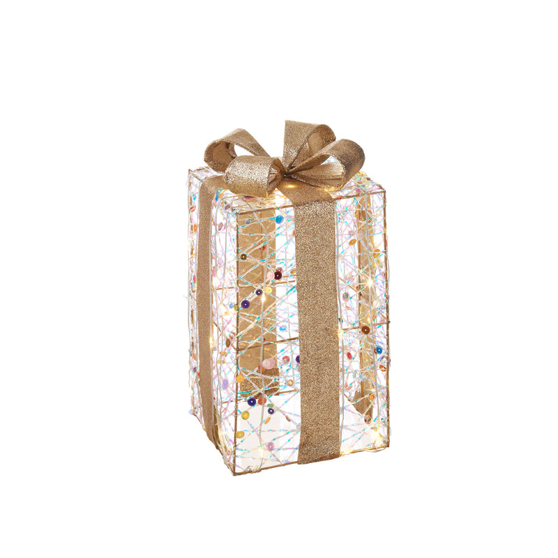 L'Oca Nera | Pacco Regalo Decoro LED