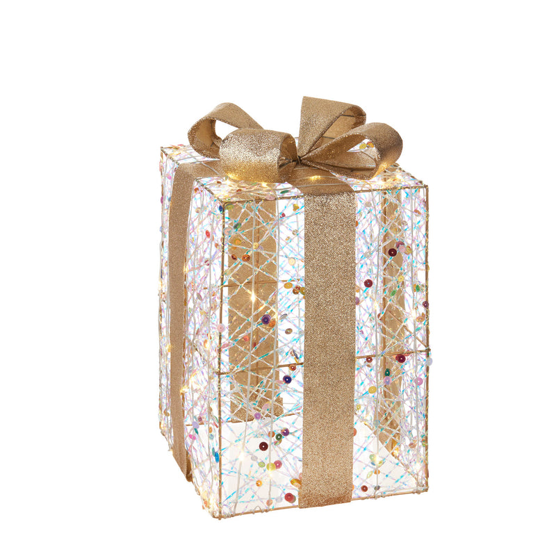 L'Oca Nera | Pacco Regalo Decoro LED