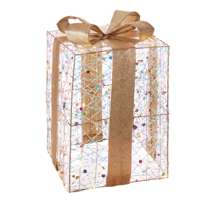 L'Oca Nera | Pacco Regalo Decoro LED