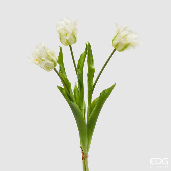 EDG Enzo De Gasperi Mazzo di Tulipani Parrot H 51 cm