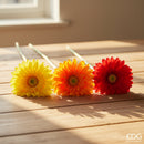 EDG Enzo De Gasperi | Gerbera Ramo 6 colori assortiti