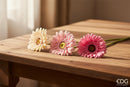 EDG Enzo De Gasperi | Gerbera Ramo 6 colori assortiti