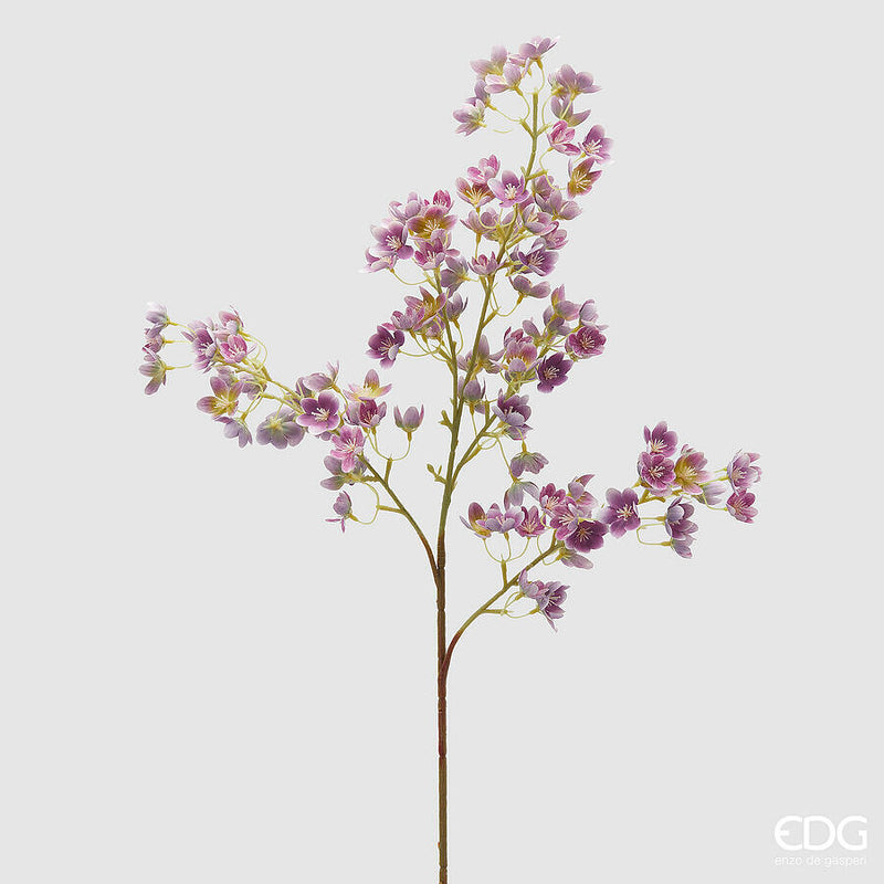 EDG Enzo De Gasperi Prunus Con Ramo Lavanda
