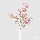 EDG Enzo De Gasperi Prunus Con Ramo Rosa
