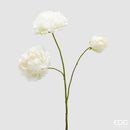 EDG Enzo De Gasperi | Peonia Ramo  3 boccioli