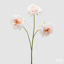 EDG Enzo De Gasperi | Rosa Ramo x3