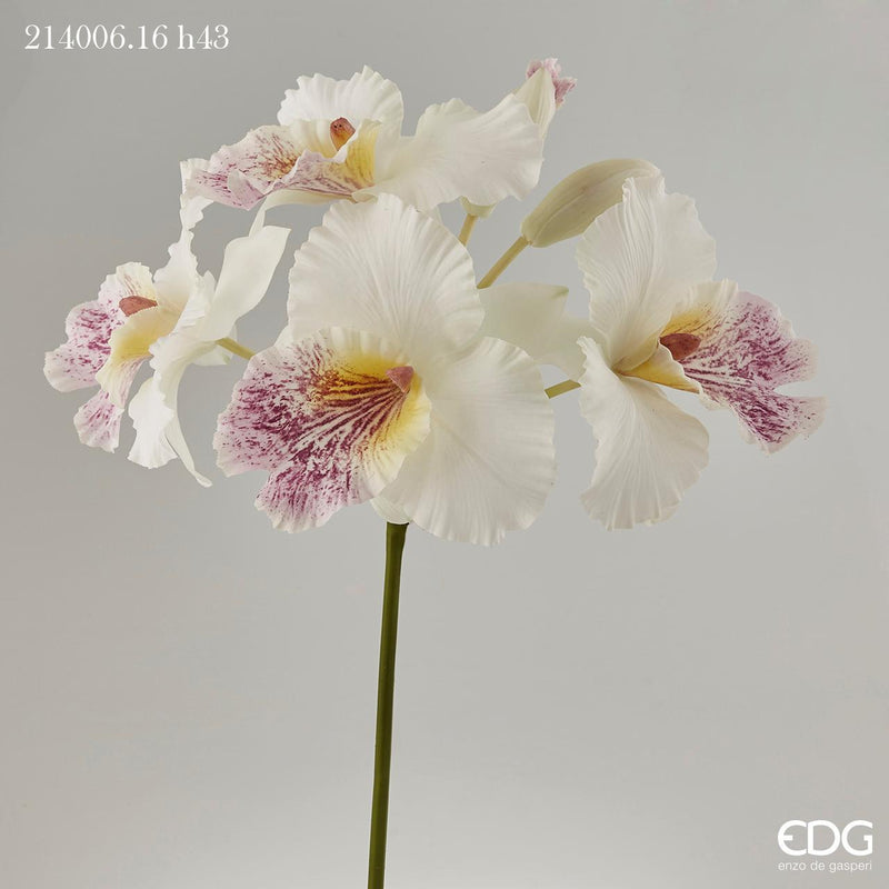 Ramo artificiale Orchidea Cattlduke EDG Enzo De gasperi