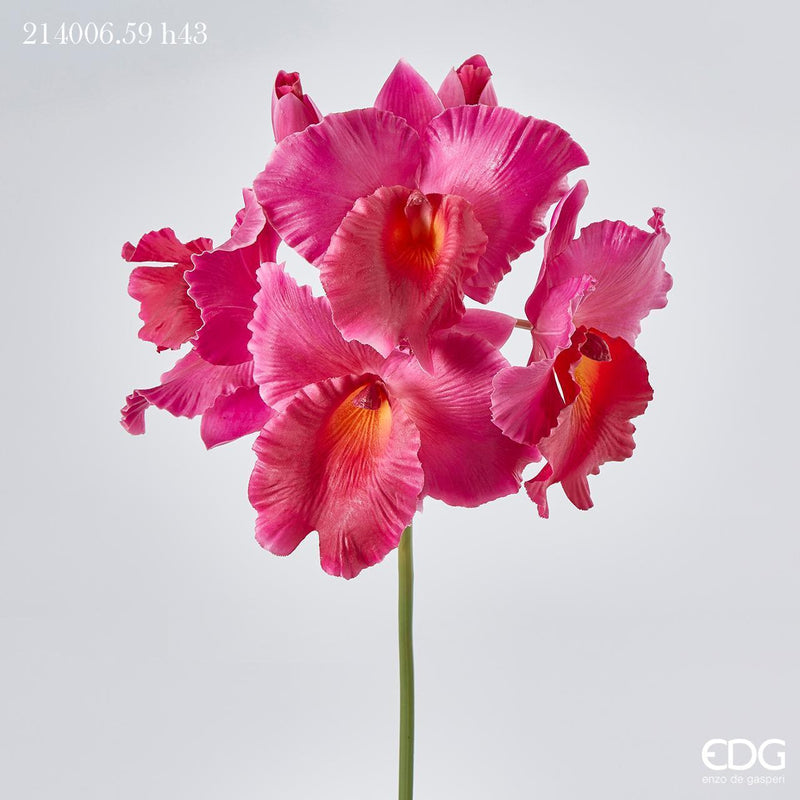 Ramo artificiale Orchidea Cattlduke EDG Enzo De gasperi