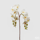 Enzo De Gasperi Orchidea Phalaenopsis con ramo Natale 2025