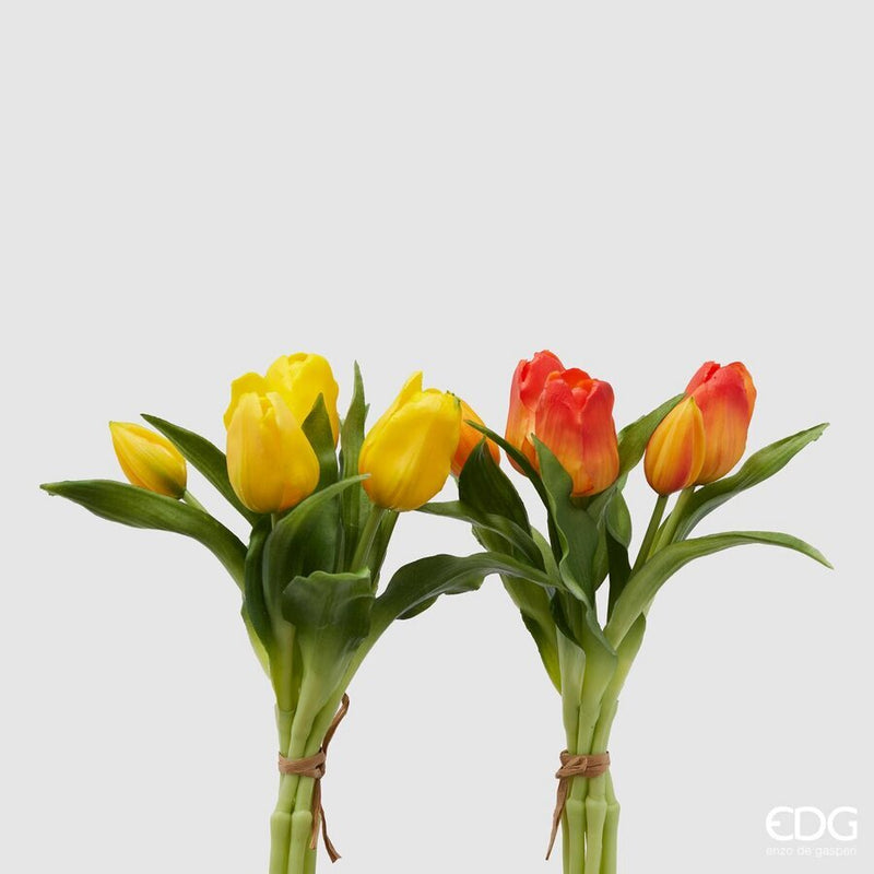 Enzo De Gasperi Tulipano Olis mazzolino da 5 pezzi 🌷