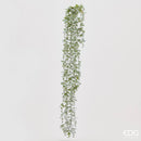 EDG Enzo De Gasperi Cespuglio di Eucalipto cascante H 105 cm