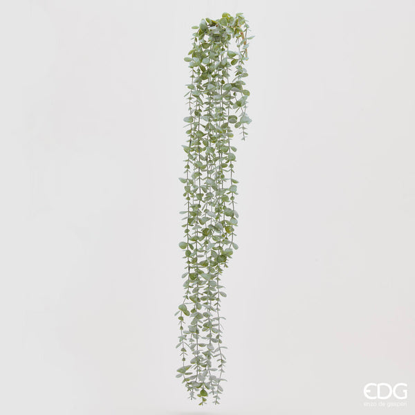 EDG Enzo De Gasperi Cespuglio di Eucalipto cascante H 105 cm
