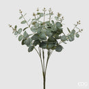 EDG Enzo De Gasperi Cespuglio di Eucalipto H 50 cm