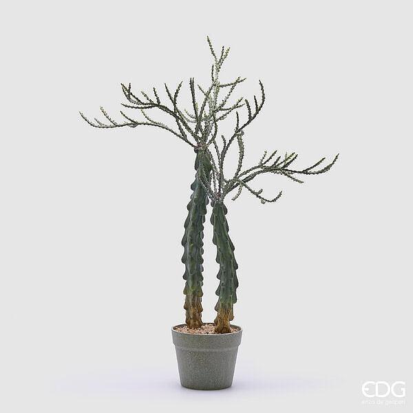 Pianta Artificiale Cactus Cereus con Vaso EDG Enzo De Gasperi