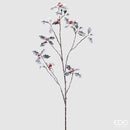 Enzo De Gasperi Agrifoglio con ramo Natale 2025