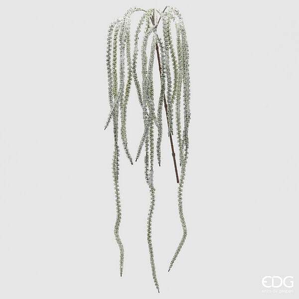 EDG Enzo De Gasperi | Sedum decorativo con ramo Natale 2025