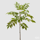 EDG Enzo De Gasperi Ramo Plinia H 90 cm