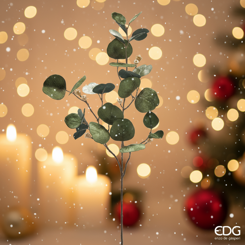 EDG Enzo De Gasperi | Eucalipto decorativo con ramo Natale 2025