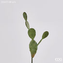 Fico D'india Artificiale Duke Pick EDG Enzo De Gasperi