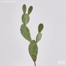 Fico D'india Artificiale Duke Pick EDG Enzo De Gasperi