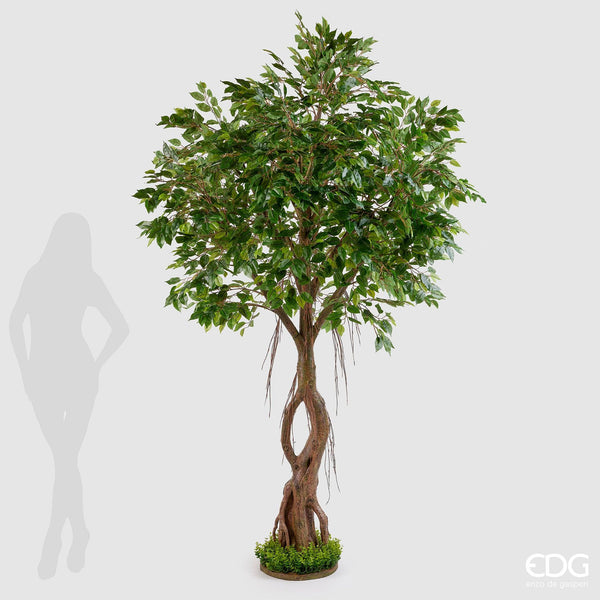 EDG Enzo De Gasperi Pianta artificiale Ficus Beniamino con Zolla