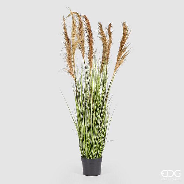 Pianta Artificiale Festuca Donax con Vaso 7 Fiori EDG Enzo de Gasperi
