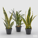 Pianta Artificiale WEST H 54 cm. con vaso By EDG Enzo De Gasperi