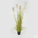 EDG Enzo De Gasperi Pianta artificiale PAMPAS con vaso in erba piumata