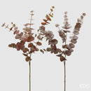 EDG Enzo De Gasperi Eucalipto Olis con ramo H 96 cm