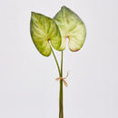 Fiore Artificiale Singonium Rex Foglia 2 pz EDG Enzo De Gasperi