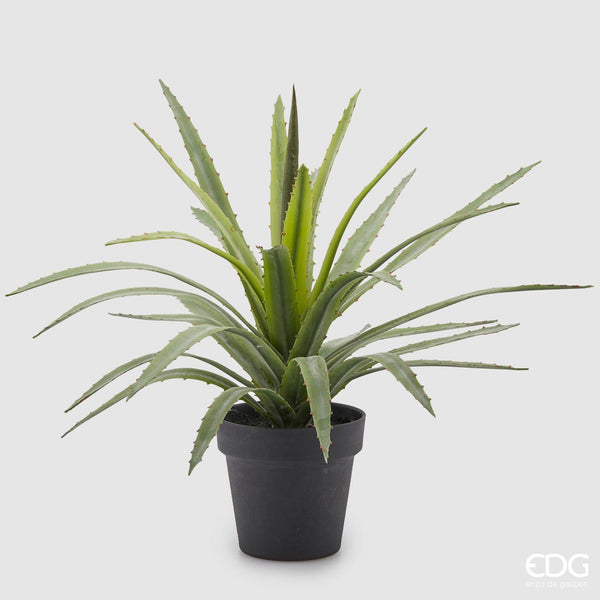 Pianta artificiale con Vaso AGAVE Chic H. 45 cm. EDG Enzo De Gasperi