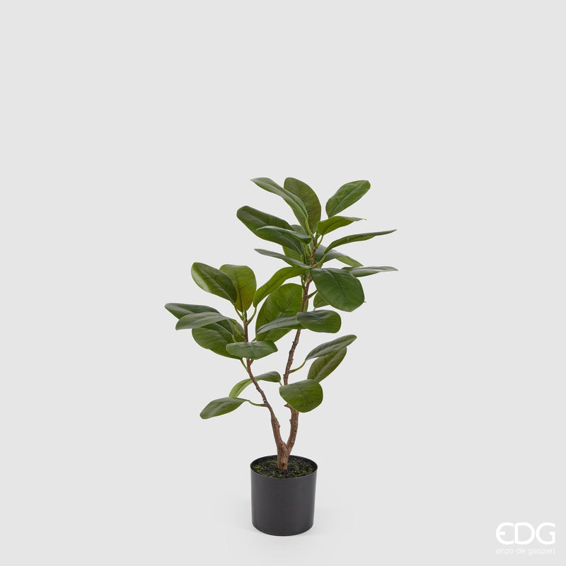 Pianta artificiale con vaso Ficus Chic H. 64 cm. EDG Enzo De Gasperi
