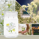 Candela Profumata Midnight Jasmine Yankee Candle