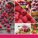 Candela Profumata Red Raspberry Yankee Candle