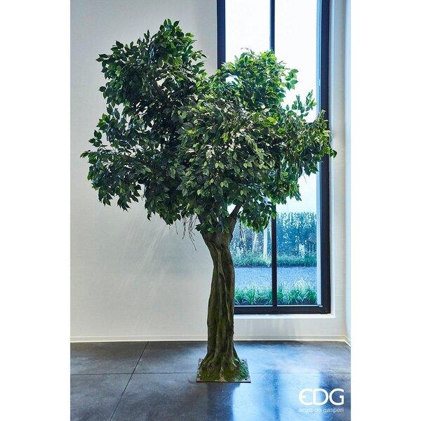 Kazeila Piante Finte Da Interno 150cm Ficus Artificiale Con Tronchi Naturali Piante Artificiali Ideali Per La Decorazione Interno Casa Soggiorno