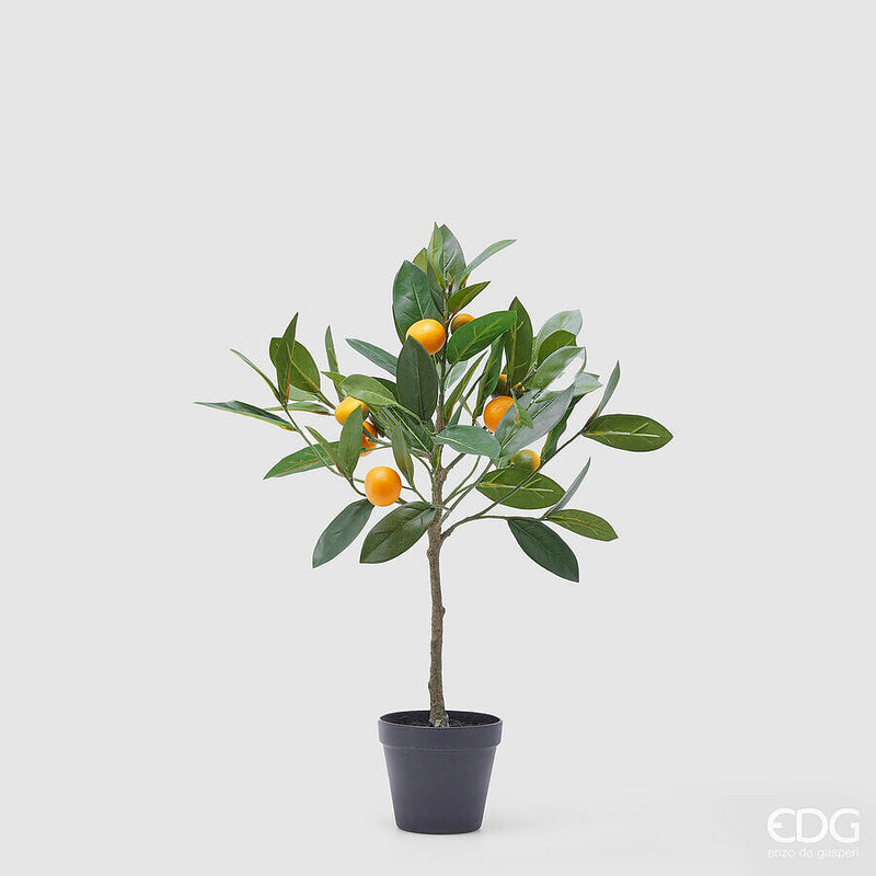 EDG Enzo De Gasperi Mandarino con Vaso