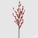 Enzo De Gasperi Ilex con ramo Natale 2025