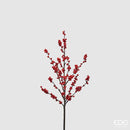 Enzo De Gasperi Ilex con ramo Natale 2025