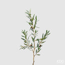 EDG Enzo De Gasperi Ramo di Olivo True H 91 cm