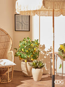 Vaso Bombato Glaze ceramica smaltata Waterproof By EDG Enzo De Gasperi